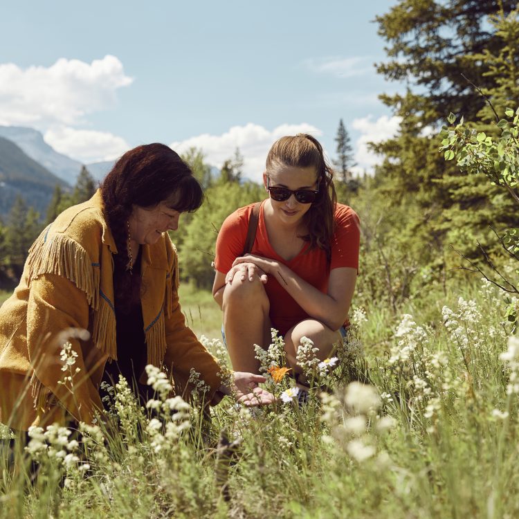 Make Your Own Medicine